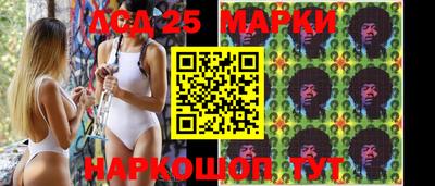 стаф Малгобек